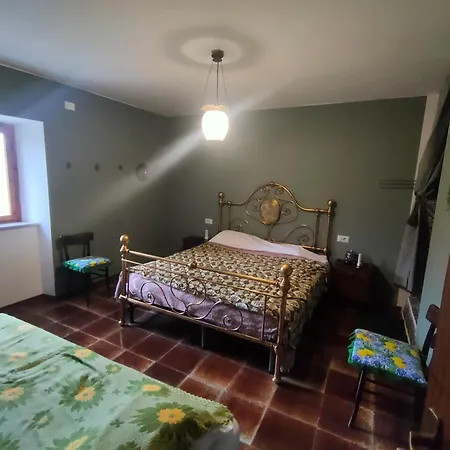 Beep Beep, Tranquillo Scheggino