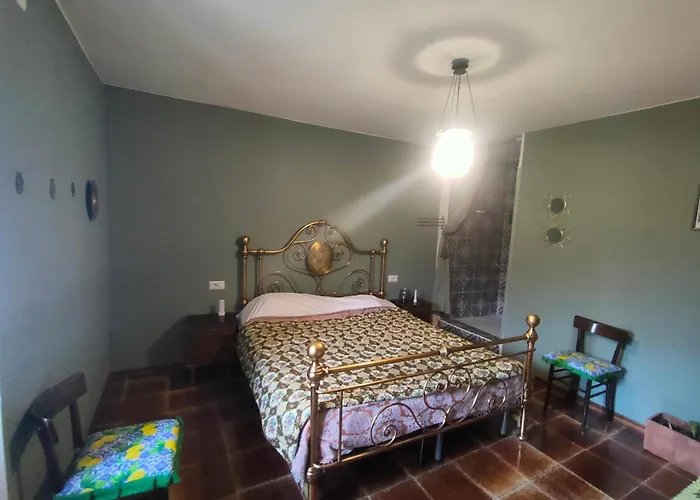 Beep Beep, Tranquillo Scheggino