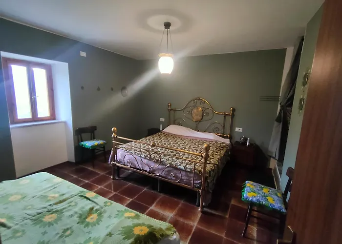 Beep Beep, Tranquillo Scheggino