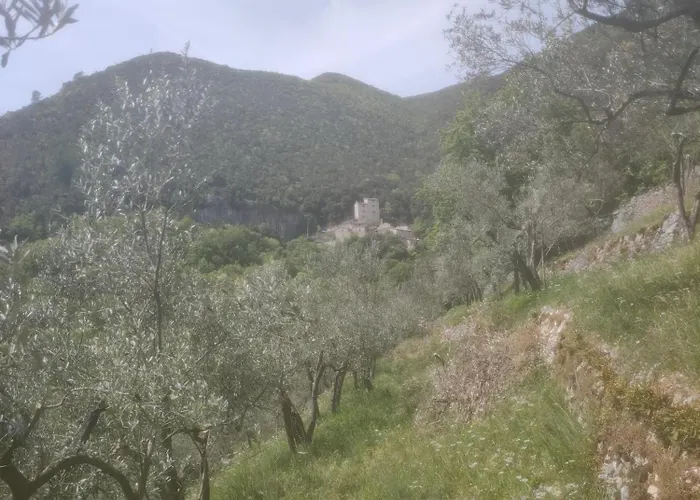 Beep Beep, Tranquillo Scheggino